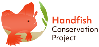 Handfish icon